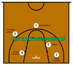 Bộ môn bóng rổ: vị trí, chiến thuật và những điều cần lưu ý ...