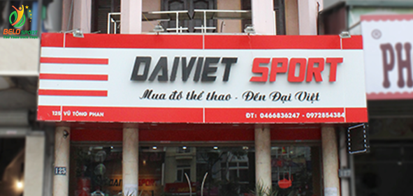 Đại Việt Sport